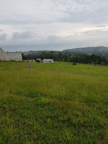Oportunidade lote 1000 m2º - Foto 6