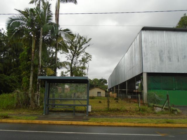 Terreno para alugar em America, Joinville cod:05753.004