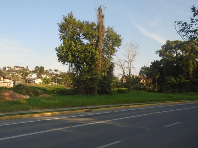 Terreno para alugar em Floresta, Joinville cod:06772.001 - Foto 3