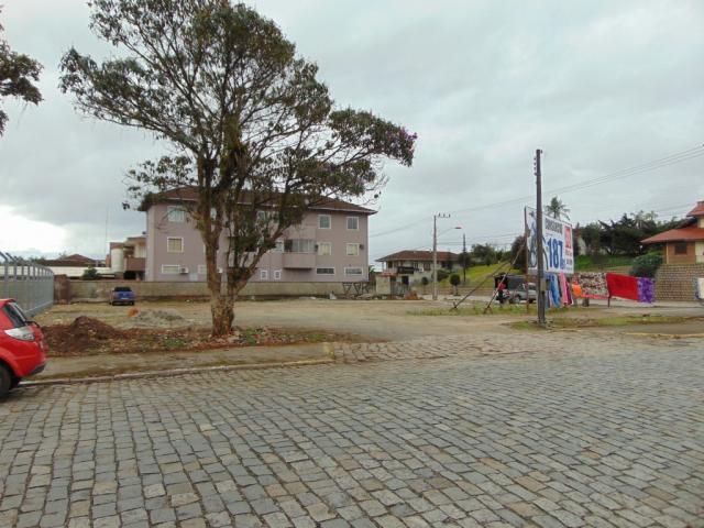 Terreno para alugar em Pirabeiraba, Joinville cod:06691.009 - Foto 7