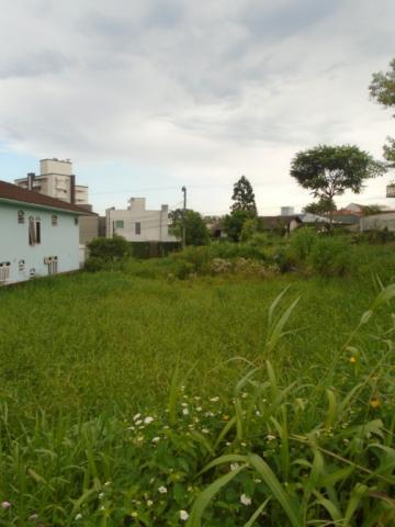 Terreno para alugar em Santo antonio, Joinville cod:07792.003 - Foto 3