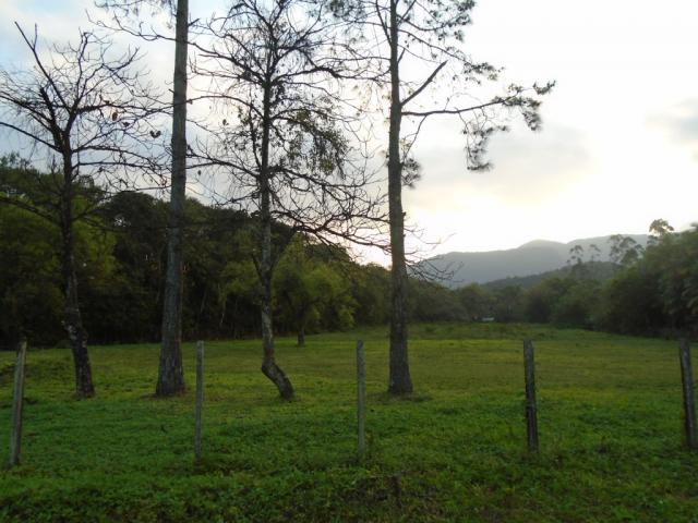 Terreno para alugar em Zona industrial norte, Joinville cod:06691.006 - Foto 2