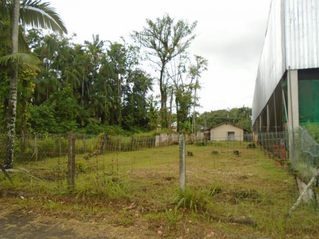 Terreno para alugar em America, Joinville cod:05753.004 - Foto 9