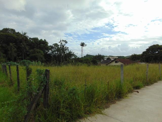 Terreno para alugar em Atiradores, Joinville cod:30040.012 - Foto 6