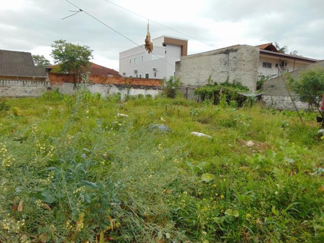 Terreno para alugar em Saguacu, Joinville cod:06691.011 - Foto 8