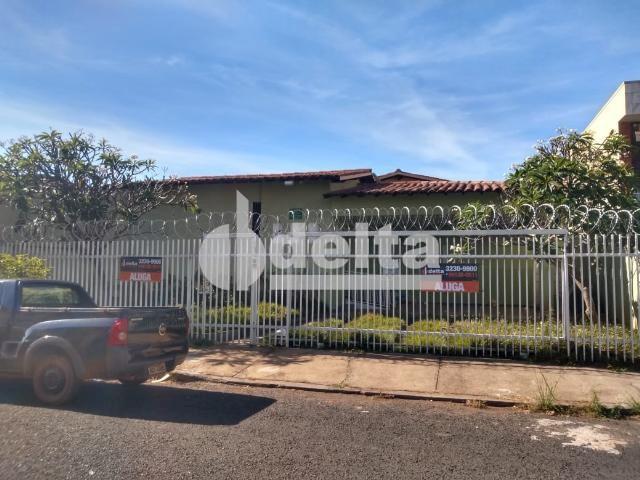 Escritório para alugar em Saraiva, Uberlândia cod:598445