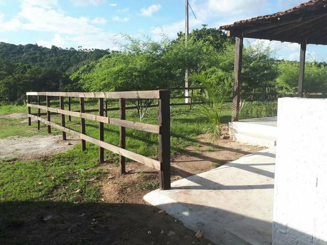 Sítio com 11.67 hectares em Igarassu/PE - Foto 10