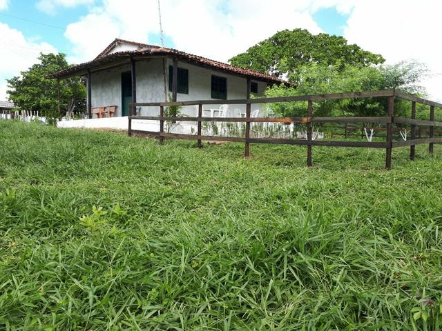 Sítio com 11.67 hectares em Igarassu/PE - Foto 4
