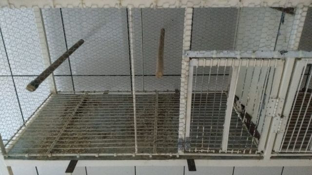 Viveiro Para Aves e Calopsitas - Foto 5