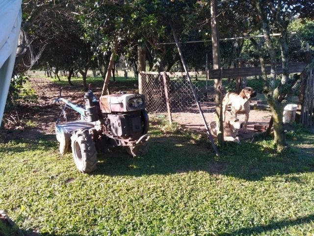 Velleda oferece sítio 3 hectares, 3 dormitórios, horta irrigada, 2 piscinas, açude - Foto 11