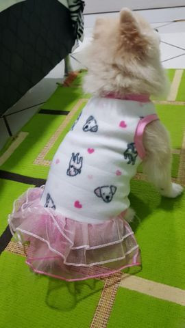 Vestido Inverno - Tal Cão, Tal Dono - Foto 4