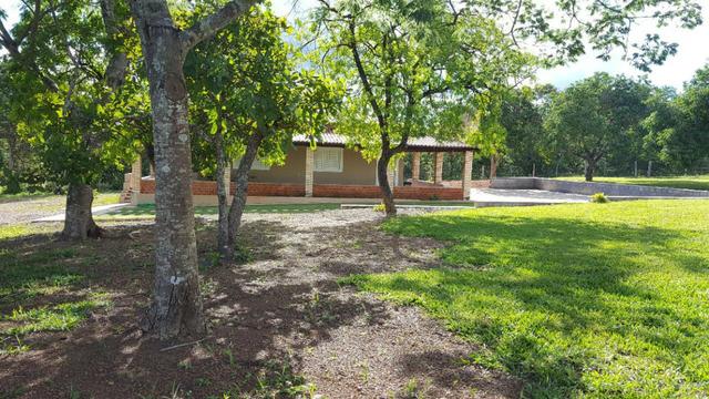 JP 012 - Ótima fazenda colado no Gama, a 27km - Foto 13