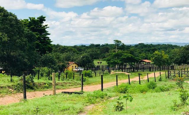 VENDO SÍTIO 22,6 Alq. próximo de Itapirapuã e Águas de São João- Goiás R$2Milhões - Foto 12