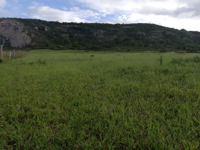 Fazenda de 945 hectares em Minas Gerais - Foto 3