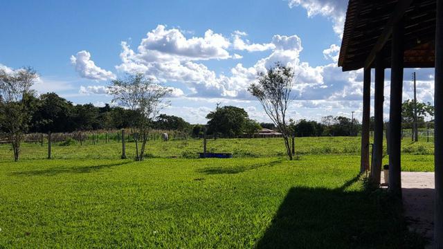 JP 012 - Ótima fazenda colado no Gama, a 27km - Foto 11