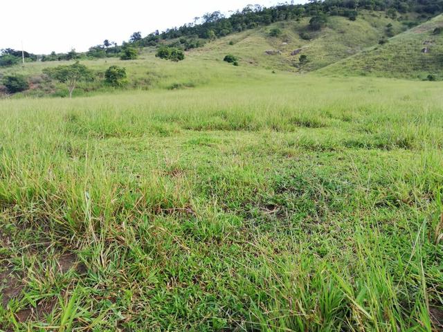 Fazenda de 945 hectares em Minas Gerais - Foto 8