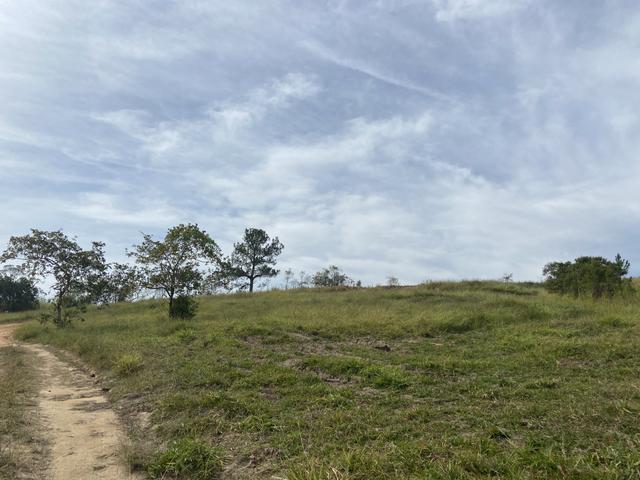 Desfrute desse verde da janela de sua casa - Foto 5