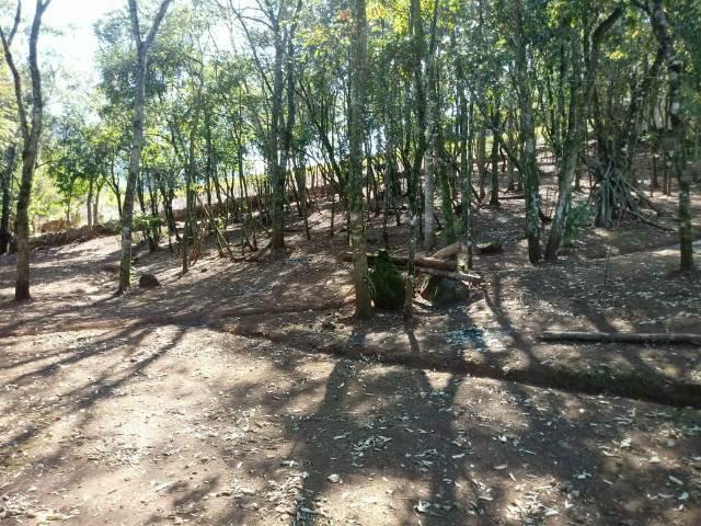 Chácara 4°légua galopolis - Foto 7