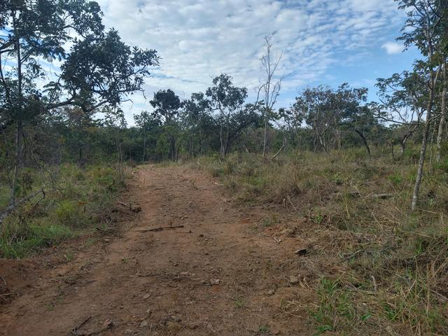 Chácara rego e córrego Bela vista - Foto 10