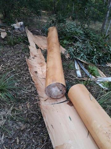 Madeiras - Foto 4