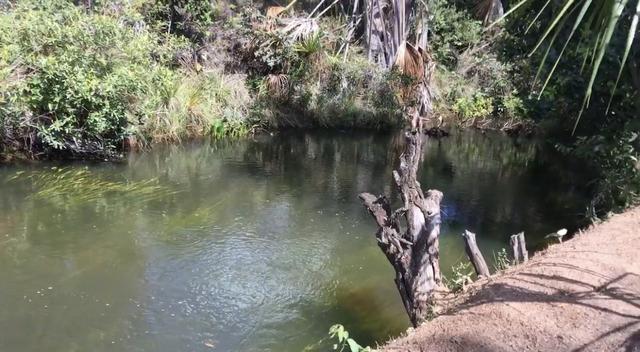 Sitio no Formoso - Buritizeiro MG - Foto 12