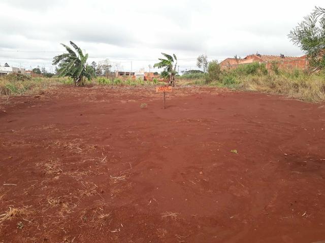 Vende terreno comercial cambe - Foto 4