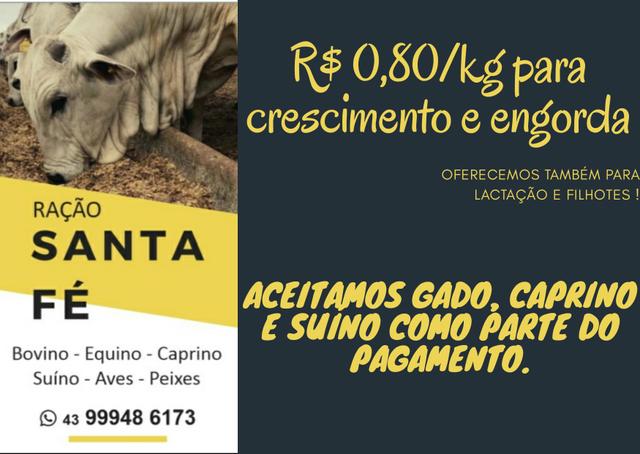 Oportunidade