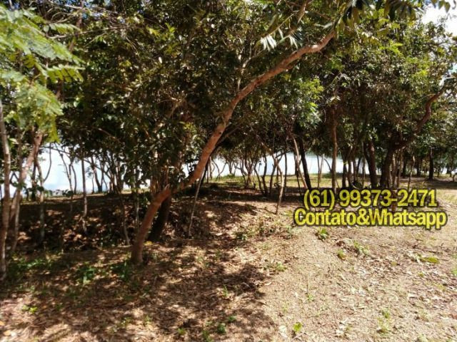 Casa no Lago Corumbá IV Condomínio Palmeiras - Foto 19