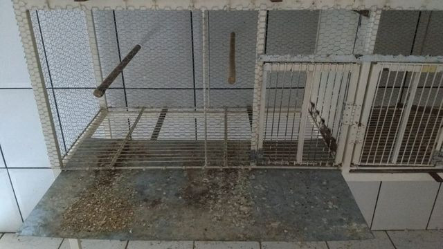 Viveiro Para Aves e Calopsitas - Foto 2