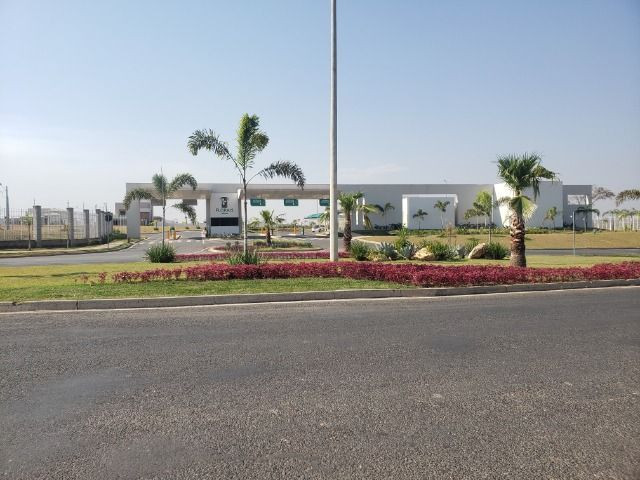 Terreno Florais Italia 456 Quitado e escriturado prox ao Tia Nair - Foto 8