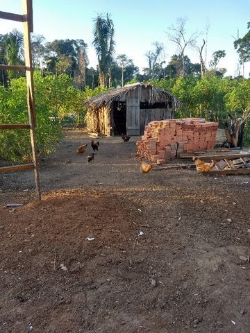 Vendo sitio no lago da samuel 50 mil - Foto 2