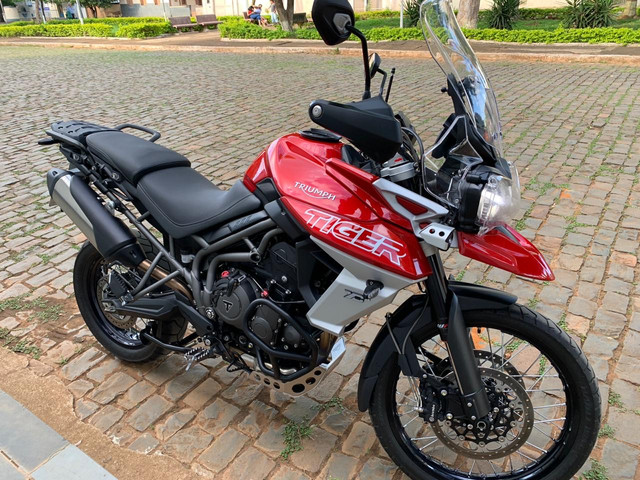 olx triumph tiger