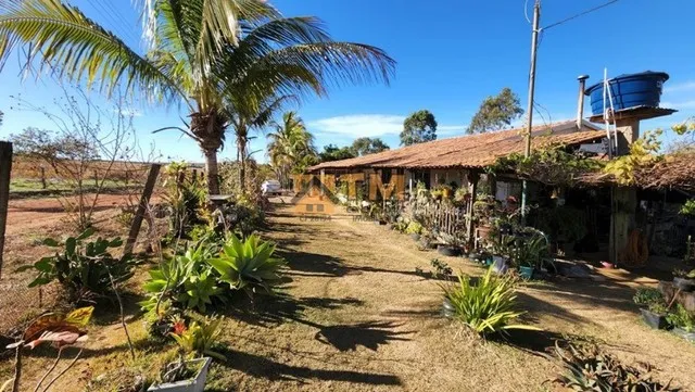 Excelente Chácara com 2 Hectares, Córrego, no Café sem Troco, Fácil Acesso 