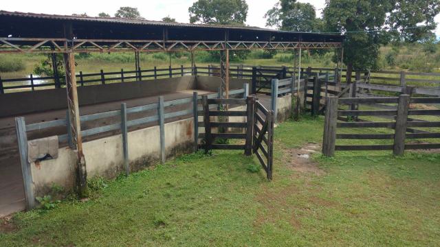 Arrendamento, Aluguel ou Venda de Chacara Estrada da Guia km14 Hidroponia, Confinamento - Foto 2