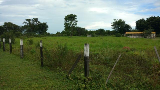 Arrendamento, Aluguel ou Venda de Chacara Estrada da Guia km14 Hidroponia, Confinamento - Foto 15
