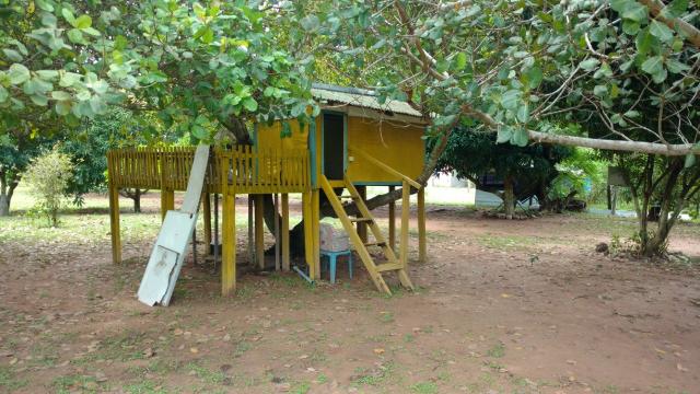 Arrendamento, Aluguel ou Venda de Chacara Estrada da Guia km14 Hidroponia, Confinamento - Foto 7