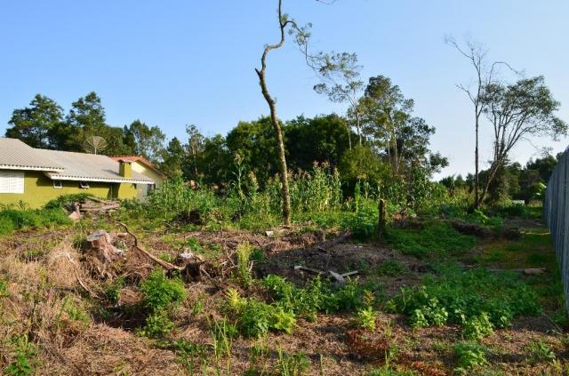 Terreno residencial à venda, vale dos pinheiros, gramado. - Foto 6