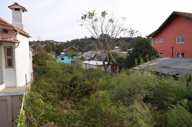 Terreno residencial à venda, são josé, canela. - Foto 9