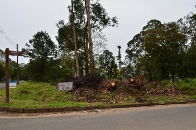 Terreno residencial à venda, casa grande, gramado. - Foto 5
