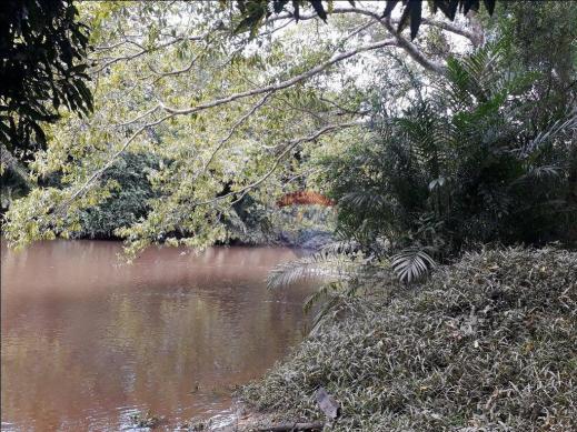 Fazenda à venda em Porto Seguro (Vera Cruz), Bahia - Foto 8