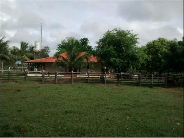Fazenda em Cáceres 2.627 hectares á venda - Foto 3