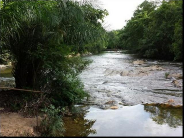 Chácara Coxipó do ouro á venda 27 hectares - Foto 4
