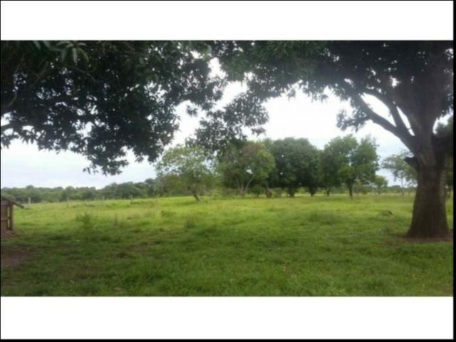 Fazenda em Cáceres 700 hectares - Foto 6
