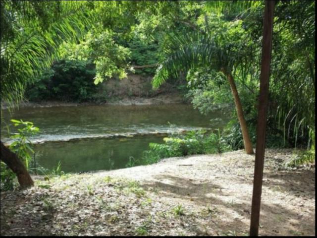 Chácara Coxipó do ouro á venda 27 hectares - Foto 5