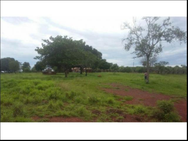 Fazenda em Cáceres 700 hectares - Foto 5