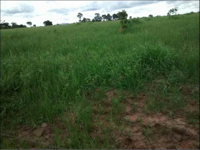 Fazenda em Cáceres 2.627 hectares á venda - Foto 4