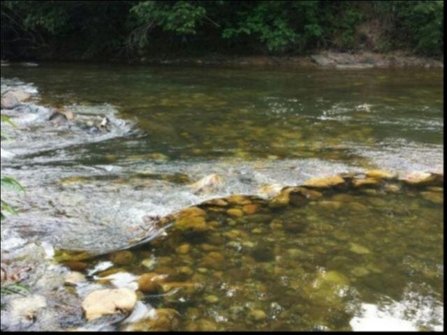 Chácara Coxipó do ouro á venda 27 hectares - Foto 2