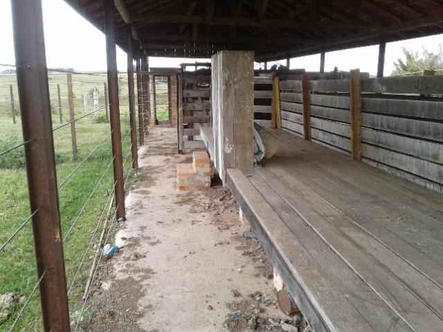 Fazenda de 51 alqueires - Foto 7