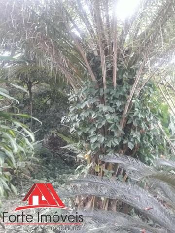 IF958 Excelente Sítio Com 2 Casas Em Santíssimo RJ - Foto 4