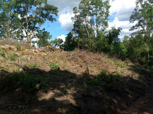 Terreno no Vale dos Vinhedos - Foto 14